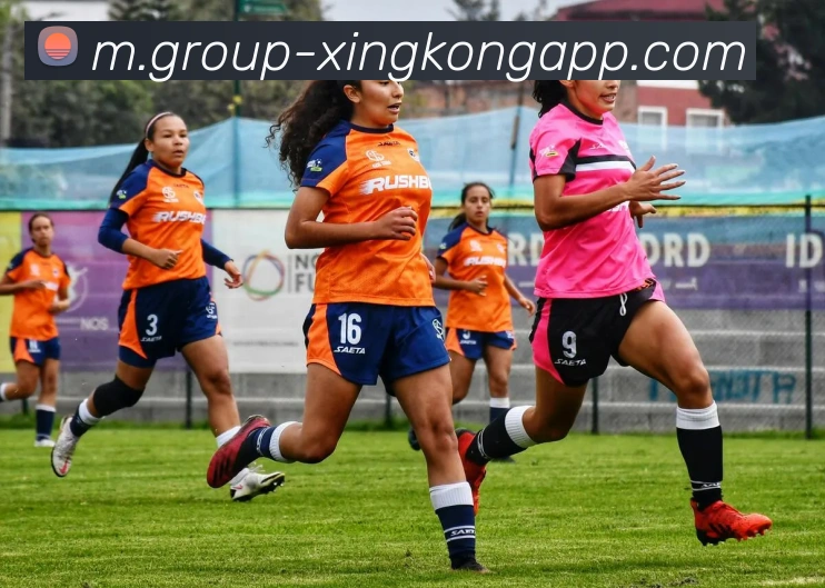 星空体育平台生态图