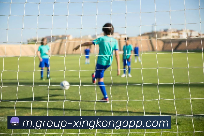 星空体育APP 封面图